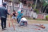 Chó Pitbull tuột xích, hung tợn cắn người đi đường nát tay Chó Pitbull tuột xích, hung tợn cắn người đi đường nát tay
