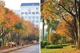 Ngôi trường Đại học đẹp nhất mùa đông Hà Nội: Background sống ảo lung linh như bối cảnh phim Hàn Quốc Ngôi trường Đại học đẹp nhất mùa đông Hà Nội: Background sống ảo lung linh như bối cảnh phim Hàn Quốc
