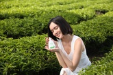 Dạ Hương – Tuyệt phẩm từ thiên nhiên chu toàn vùng kỳ quan Dạ Hương – Tuyệt phẩm từ thiên nhiên chu toàn vùng kỳ quan