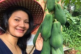 Kiều Trinh thu hoạch mỏi tay sau một năm làm vườn ở Bình Phước Kiều Trinh thu hoạch mỏi tay sau một năm làm vườn ở Bình Phước