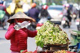Hoa bưởi đầu mùa xuống phố, thơm nồng nàn khắp phố phường Hà Nội Hoa bưởi đầu mùa xuống phố, thơm nồng nàn khắp phố phường Hà Nội