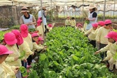 Ngôi trường đặc biệt có trang trại nuôi lợn, gà, vườn rau sạch trên nóc nhà Ngôi trường đặc biệt có trang trại nuôi lợn, gà, vườn rau sạch trên nóc nhà