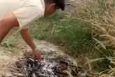 Các đoạn xương bị đốt ở Củ Chi là của phụ nữ khoảng 70 tuổi Các đoạn xương bị đốt ở Củ Chi là của phụ nữ khoảng 70 tuổi