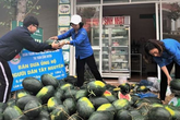 Hà Tĩnh: Đoàn thanh niên "giải cứu" dưa hấu, kiếm lời mua khẩu trang phát miễn phí Hà Tĩnh: Đoàn thanh niên "giải cứu" dưa hấu, kiếm lời mua khẩu trang phát miễn phí