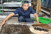Hốt bạc nhờ trồng "cây độc", nuôi "con lạ" Hốt bạc nhờ trồng "cây độc", nuôi "con lạ"