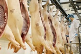 Nhà buôn ăn lãi rất cao, Bộ trưởng yêu cầu giảm giá thịt lợn Nhà buôn ăn lãi rất cao, Bộ trưởng yêu cầu giảm giá thịt lợn