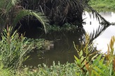 Thi thể người đàn ông nổi trên sông Sài Gòn Thi thể người đàn ông nổi trên sông Sài Gòn