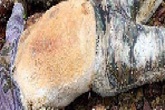 Phát hiện thi thể đang phân hủy tại bờ biển Quảng Bình Phát hiện thi thể đang phân hủy tại bờ biển Quảng Bình