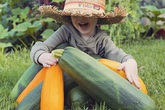 Khu vườn yên bình rộng 15ha ngập tràn hoa lá, cỏ cây của ông bố hai con Khu vườn yên bình rộng 15ha ngập tràn hoa lá, cỏ cây của ông bố hai con