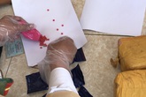 Bắt đối tượng vận chuyển thuê số lượng ma tuý cực lớn Bắt đối tượng vận chuyển thuê số lượng ma tuý cực lớn