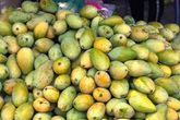 Xoài đổ đống bán đầy đường phố, giá chỉ 10.000 đồng/kg Xoài đổ đống bán đầy đường phố, giá chỉ 10.000 đồng/kg