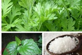 Liệu pháp hay chữa đau mỏi vai gáy Liệu pháp hay chữa đau mỏi vai gáy