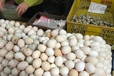 Trứng gà Việt Nam rớt giá chưa từng có, trái ngược với giá trứng tăng nhanh như giá vàng ở Mỹ Trứng gà Việt Nam rớt giá chưa từng có, trái ngược với giá trứng tăng nhanh như giá vàng ở Mỹ