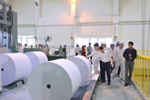 Bảo vệ môi trường - yếu tố "sống còn" của ngành giấy Bảo vệ môi trường - yếu tố "sống còn" của ngành giấy