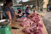 Giá thịt lợn đang "vô cảm" trước khó khăn chung bởi dịch bệnh? Giá thịt lợn đang "vô cảm" trước khó khăn chung bởi dịch bệnh?