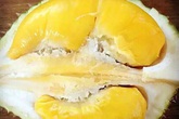 5 nhóm người đừng dại ăn sầu riêng dù có thích mê nếu không muốn mang bệnh 5 nhóm người đừng dại ăn sầu riêng dù có thích mê nếu không muốn mang bệnh