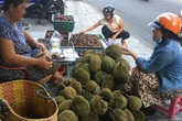 'Vua của các loại trái cây' đại hạ giá ở vỉa hè Sài Gòn, vì sao? 'Vua của các loại trái cây' đại hạ giá ở vỉa hè Sài Gòn, vì sao?