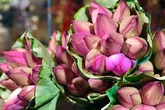 Bỏ tiền thật mua phải hoa sen giả, khách tự rước cục tức vào mình Bỏ tiền thật mua phải hoa sen giả, khách tự rước cục tức vào mình