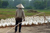 Thâm cung bí sử (214 - 2): Một người không sợ chết Thâm cung bí sử (214 - 2): Một người không sợ chết