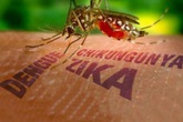 Bất ngờ phát hiện nam thanh niên ở Đà Nẵng mắc virus Zika Bất ngờ phát hiện nam thanh niên ở Đà Nẵng mắc virus Zika