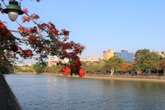 Khám phá những con đường đầy sắc hoa ở Hải Phòng Khám phá những con đường đầy sắc hoa ở Hải Phòng