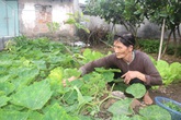 Trầm trồ với cụ bà gần 80 tuổi ở Hải Dương "chưa một lần nằm viện" xin thoát nghèo Trầm trồ với cụ bà gần 80 tuổi ở Hải Dương "chưa một lần nằm viện" xin thoát nghèo