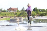 Diêm dân Hà Tĩnh vật lộn với nghề "càng nắng nóng càng có thêm thu nhập" Diêm dân Hà Tĩnh vật lộn với nghề "càng nắng nóng càng có thêm thu nhập"