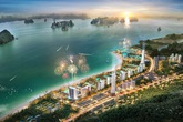 Tập đoàn CEO nỗ lực vượt thách thức đạt chỉ tiêu năm 2020 Tập đoàn CEO nỗ lực vượt thách thức đạt chỉ tiêu năm 2020