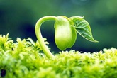 Khoa học chỉ ra phụ nữ Việt lão hóa nhanh và mạnh hơn phụ nữ các châu lục khác Khoa học chỉ ra phụ nữ Việt lão hóa nhanh và mạnh hơn phụ nữ các châu lục khác