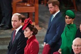 William không hài lòng vì Harry tiêu hoang từ khi gặp Meghan William không hài lòng vì Harry tiêu hoang từ khi gặp Meghan