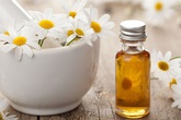 Những loại thảo dược giúp trị trĩ hiệu quả, bạn đã biết chưa? Những loại thảo dược giúp trị trĩ hiệu quả, bạn đã biết chưa?