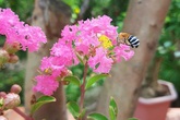 Ngày giỗ, vợ không làm vì ghét anh em họ hàng nhà chồng Ngày giỗ, vợ không làm vì ghét anh em họ hàng nhà chồng