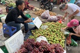 Đi 5km quả nho đắt gấp 4, từ chuồng ra chợ gà tăng giá 3 lần Đi 5km quả nho đắt gấp 4, từ chuồng ra chợ gà tăng giá 3 lần