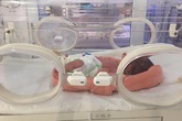Bé gái 1,1 kg nguy kịch vì được sinh tại nhà Bé gái 1,1 kg nguy kịch vì được sinh tại nhà