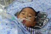 Bé 10 tuổi mắc ung thư dạ dày do chủ quan của người lớn, chuyên gia chỉ rõ 4 điều bố mẹ cần biết để tránh lây bệnh cho con Bé 10 tuổi mắc ung thư dạ dày do chủ quan của người lớn, chuyên gia chỉ rõ 4 điều bố mẹ cần biết để tránh lây bệnh cho con