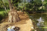 Phát hiện thi thể con trai dưới ao sau khi nhà bị phóng hỏa Phát hiện thi thể con trai dưới ao sau khi nhà bị phóng hỏa