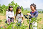 Hà Nội thêm ca nhiễm mới, trường học đồng loạt lùi lịch tựu trường Hà Nội thêm ca nhiễm mới, trường học đồng loạt lùi lịch tựu trường