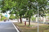 Hải Phòng: Người dân lo lắng trước sự xuất hiện của hàng trăm cột sắt bên đường Hải Phòng: Người dân lo lắng trước sự xuất hiện của hàng trăm cột sắt bên đường