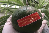 Những câu chuyện xúc động từ Đà Nẵng: Đã hi sinh thì làm sao đong đếm được! Những câu chuyện xúc động từ Đà Nẵng: Đã hi sinh thì làm sao đong đếm được!