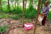 Bé gái sơ sinh khoảng 5 ngày tuổi bị bỏ rơi ven đường kèm lời nhắn "tôi không đủ điều kiện nuôi bé, ai nhặt được nuôi đi" Bé gái sơ sinh khoảng 5 ngày tuổi bị bỏ rơi ven đường kèm lời nhắn "tôi không đủ điều kiện nuôi bé, ai nhặt được nuôi đi"