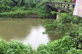 Hải Phòng: Giận vợ không gửi tiền về, chồng ôm 2 con nhỏ nhảy cầu tự vẫn Hải Phòng: Giận vợ không gửi tiền về, chồng ôm 2 con nhỏ nhảy cầu tự vẫn