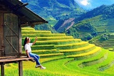 Thua lỗ trăm tỷ, giám đốc du lịch đi bán hoa quả, trà sữa Thua lỗ trăm tỷ, giám đốc du lịch đi bán hoa quả, trà sữa