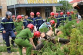 Ảnh: Lực lượng chức năng Thừa Thiên – Huế khắc phục hậu quả bão số 5 Ảnh: Lực lượng chức năng Thừa Thiên – Huế khắc phục hậu quả bão số 5