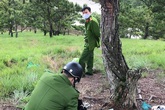 Phát hiện thi thể đã phân huỷ, nghi là nữ giáo viên mất tích cách đây 1 tháng Phát hiện thi thể đã phân huỷ, nghi là nữ giáo viên mất tích cách đây 1 tháng