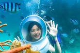 Vé khứ hồi đi Phú Quốc giảm còn hơn 1 triệu đồng Vé khứ hồi đi Phú Quốc giảm còn hơn 1 triệu đồng