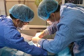 Cứu bệnh nhân uốn ván sắp ngừng thở Cứu bệnh nhân uốn ván sắp ngừng thở