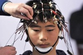 Tìm ra cách nhập trực tiếp kiến thức vào não bộ Tìm ra cách nhập trực tiếp kiến thức vào não bộ