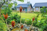 Bố tôi quyết đón con gái về sau lần đến nhà thông gia chúc Tết Bố tôi quyết đón con gái về sau lần đến nhà thông gia chúc Tết