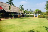 Khốn đốn vì vợ muốn ra ở riêng giữa lúc dịch corona Khốn đốn vì vợ muốn ra ở riêng giữa lúc dịch corona