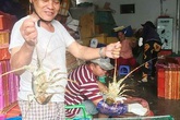 Tôm hùm tăng giá trở lại Tôm hùm tăng giá trở lại